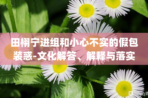 田栩?qū)庍M(jìn)組和小心不實(shí)的假包裝惑-文化解答、解釋與落實(shí)