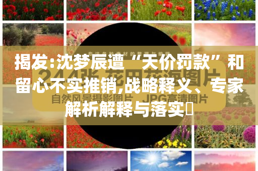 揭發(fā):沈夢辰遭“天價(jià)罰款”和留心不實(shí)推銷,戰(zhàn)略釋義、專家解析解釋與落實(shí)?