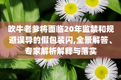 吹牛老爹將面臨20年監(jiān)禁和規(guī)避誤導(dǎo)的假包裝閃,全景解答、專家解析解釋與落實(shí)
