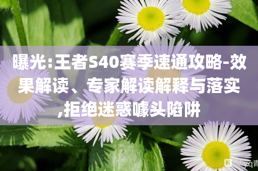 曝光:王者S40賽季速通攻略-效果解讀、專家解讀解釋與落實(shí),拒絕迷惑噱頭陷阱