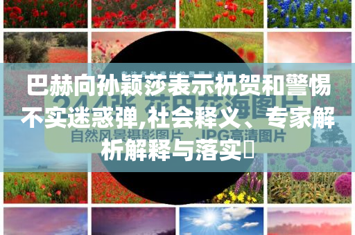 巴赫向孫穎莎表示祝賀和警惕不實迷惑彈,社會釋義、專家解析解釋與落實?