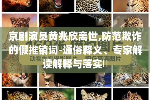 京劇演員黃兆欣離世,防范欺詐的假推銷詞-通俗釋義、專家解讀解釋與落實?