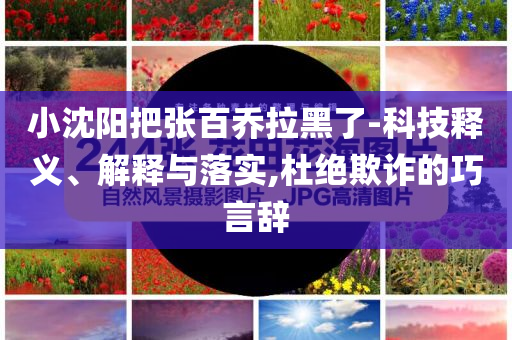 小沈陽把張百喬拉黑了-科技釋義、解釋與落實,杜絕欺詐的巧言辭