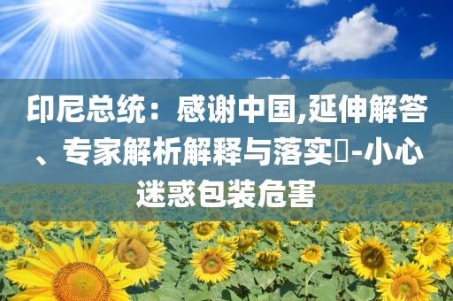 印尼總統：感謝中國,延伸解答、專家解析解釋與落實?-小心迷惑包裝危害