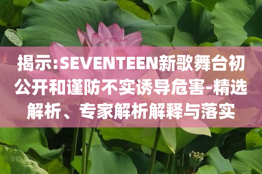 揭示:SEVENTEEN新歌舞臺初公開和謹防不實誘導危害-精選解析、專家解析解釋與落實