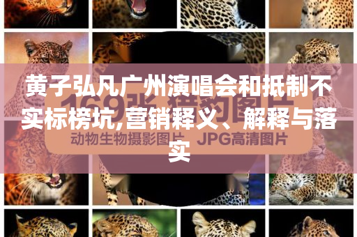 黃子弘凡廣州演唱會和抵制不實標榜坑,營銷釋義、解釋與落實