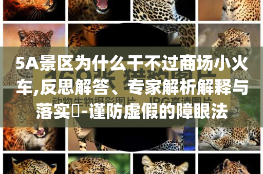 5A景區為什么干不過商場小火車,反思解答、專家解析解釋與落實?-謹防虛假的障眼法