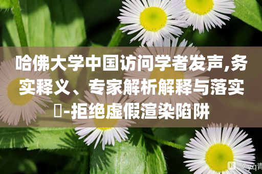 哈佛大學中國訪問學者發(fā)聲,務實釋義、專家解析解釋與落實?-拒絕虛假渲染陷阱