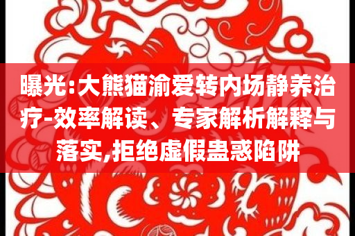 曝光:大熊貓渝愛轉內場靜養治療-效率解讀、專家解析解釋與落實,拒絕虛假蠱惑陷阱