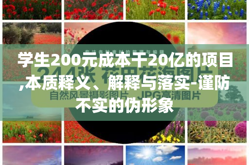 學生200元成本干20億的項目,本質釋義、解釋與落實-謹防不實的偽形象