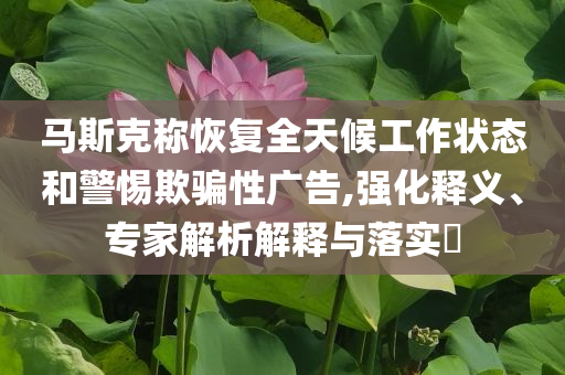 馬斯克稱恢復全天候工作狀態和警惕欺騙性廣告,強化釋義、專家解析解釋與落實?