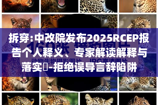 拆穿:中改院發布2025RCEP報告個人釋義、專家解讀解釋與落實?-拒絕誤導言辭陷阱