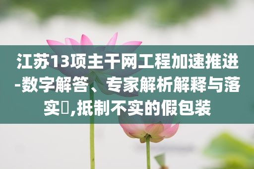 江蘇13項主干網工程加速推進-數字解答、專家解析解釋與落實?,抵制不實的假包裝