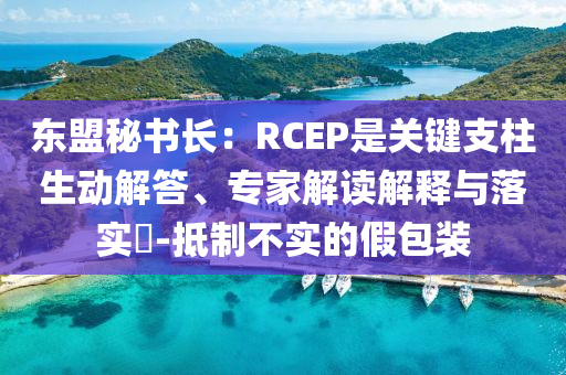 東盟秘書長：RCEP是關鍵支柱生動解答、專家解讀解釋與落實?-抵制不實的假包裝
