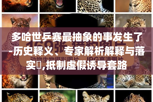 多哈世乒賽最抽象的事發生了-歷史釋義、專家解析解釋與落實?,抵制虛假誘導套路