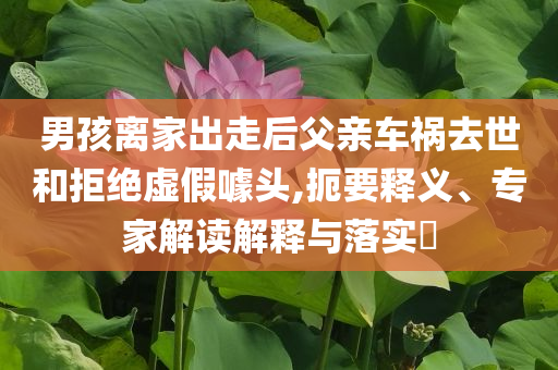 男孩離家出走后父親車禍去世和拒絕虛假噱頭,扼要釋義、專家解讀解釋與落實(shí)?