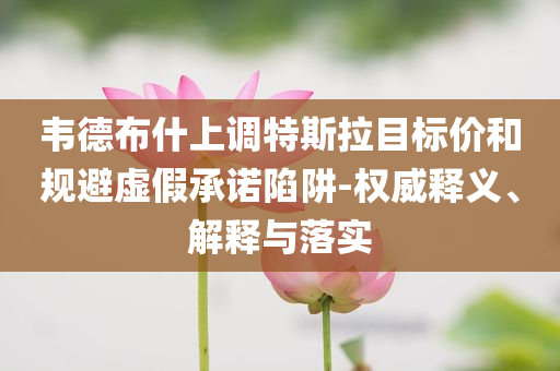 韋德布什上調特斯拉目標價和規避虛假承諾陷阱-權威釋義、解釋與落實