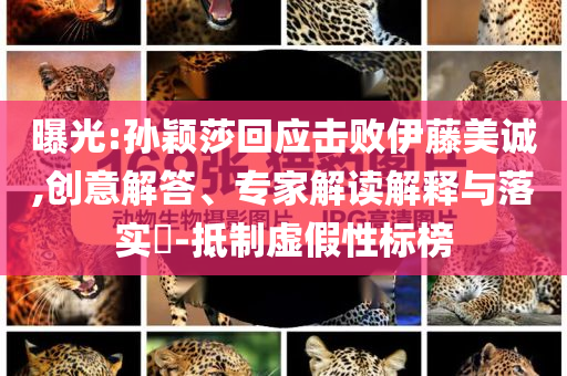曝光:孫穎莎回應(yīng)擊敗伊藤美誠,創(chuàng)意解答、專家解讀解釋與落實(shí)?-抵制虛假性標(biāo)榜