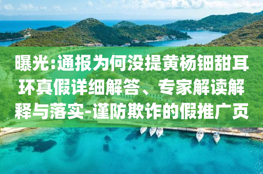 曝光:通報為何沒提黃楊鈿甜耳環真假詳細解答、專家解讀解釋與落實-謹防欺詐的假推廣頁