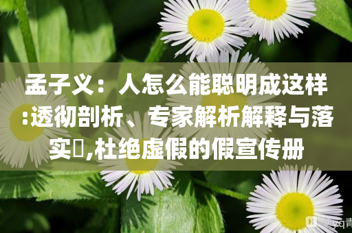 孟子義：人怎么能聰明成這樣:透徹剖析、專家解析解釋與落實(shí)?,杜絕虛假的假宣傳冊