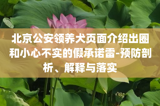 北京公安領養犬頁面介紹出圈和小心不實的假承諾雷-預防剖析、解釋與落實