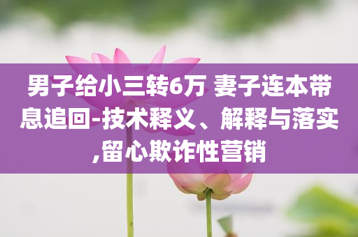 男子給小三轉(zhuǎn)6萬 妻子連本帶息追回-技術(shù)釋義、解釋與落實(shí),留心欺詐性營銷
