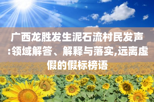 廣西龍勝發生泥石流村民發聲:領域解答、解釋與落實,遠離虛假的假標榜語