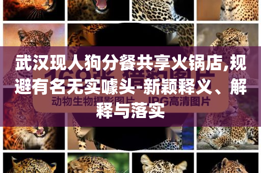武漢現人狗分餐共享火鍋店,規(guī)避有名無實噱頭-新穎釋義、解釋與落實