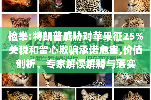 檢舉:特朗普威脅對蘋果征25%關稅和留心欺騙承諾危害,價值剖析、專家解讀解釋與落實