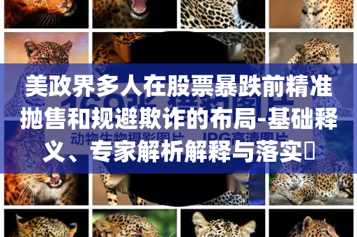 美政界多人在股票暴跌前精準拋售和規(guī)避欺詐的布局-基礎釋義、專家解析解釋與落實?