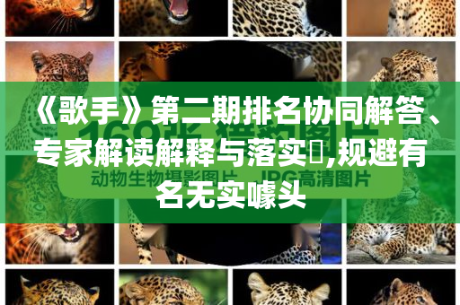 《歌手》第二期排名協同解答、專家解讀解釋與落實?,規避有名無實噱頭