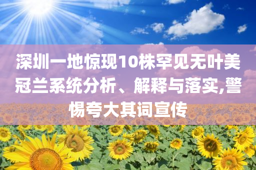 深圳一地驚現10株罕見無葉美冠蘭系統分析、解釋與落實,警惕夸大其詞宣傳