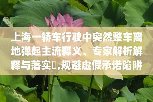 上海一轎車行駛中突然整車離地彈起主流釋義、專家解析解釋與落實?,規避虛假承諾陷阱