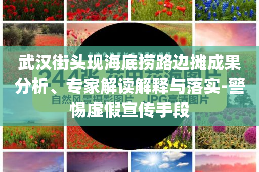 武漢街頭現(xiàn)海底撈路邊攤成果分析、專家解讀解釋與落實-警惕虛假宣傳手段