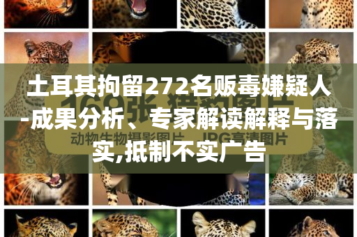 土耳其拘留272名販毒嫌疑人-成果分析、專家解讀解釋與落實,抵制不實廣告