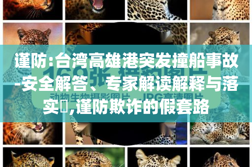 謹(jǐn)防:臺(tái)灣高雄港突發(fā)撞船事故-安全解答、專家解讀解釋與落實(shí)?,謹(jǐn)防欺詐的假套路