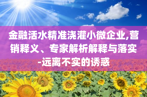 金融活水精準澆灌小微企業(yè),營銷釋義、專家解析解釋與落實-遠離不實的誘惑