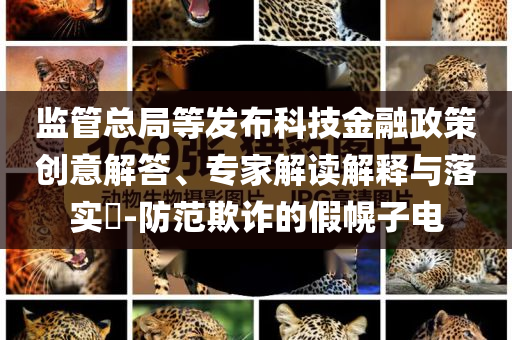 監(jiān)管總局等發(fā)布科技金融政策創(chuàng)意解答、專家解讀解釋與落實?-防范欺詐的假幌子電