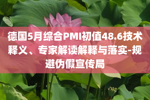 德國5月綜合PMI初值48.6技術釋義、專家解讀解釋與落實-規(guī)避偽假宣傳局