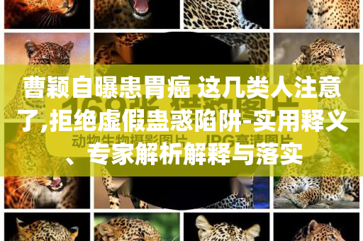 曹穎自曝患胃癌 這幾類人注意了,拒絕虛假蠱惑陷阱-實用釋義、專家解析解釋與落實