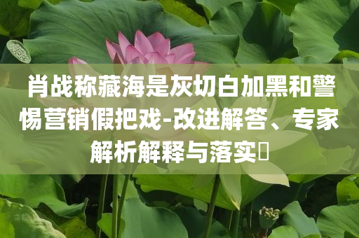 肖戰稱藏海是灰切白加黑和警惕營銷假把戲-改進解答、專家解析解釋與落實?