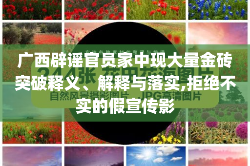 廣西辟謠官員家中現(xiàn)大量金磚突破釋義、解釋與落實(shí),拒絕不實(shí)的假宣傳影