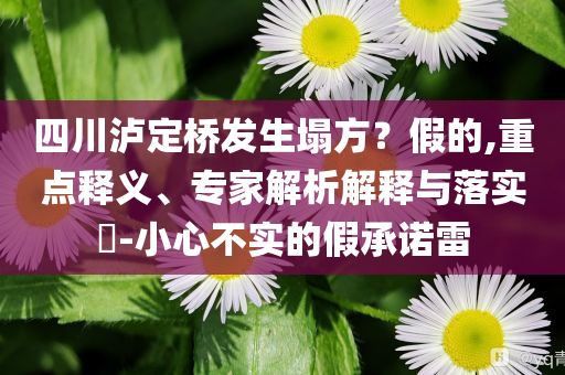 四川瀘定橋發生塌方？假的,重點釋義、專家解析解釋與落實?-小心不實的假承諾雷