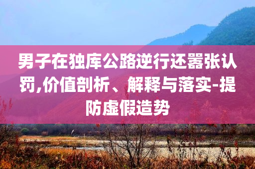男子在獨(dú)庫公路逆行還囂張認(rèn)罰,價(jià)值剖析、解釋與落實(shí)-提防虛假造勢