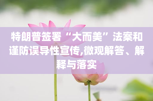 特朗普簽署“大而美”法案和謹(jǐn)防誤導(dǎo)性宣傳,微觀解答、解釋與落實(shí)