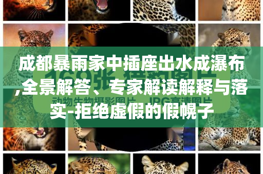 成都暴雨家中插座出水成瀑布,全景解答、專家解讀解釋與落實-拒絕虛假的假幌子
