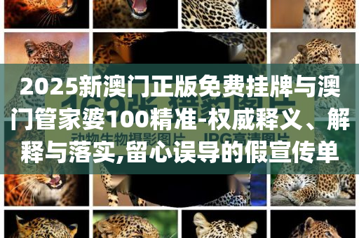 2025新澳門正版免費掛牌與澳門管家婆100精準-權威釋義、解釋與落實,留心誤導的假宣傳單