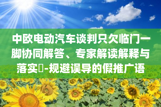 中歐電動汽車談判只欠臨門一腳協同解答、專家解讀解釋與落實?-規避誤導的假推廣語