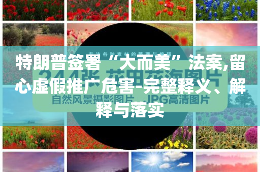 特朗普簽署“大而美”法案,留心虛假推廣危害-完整釋義、解釋與落實