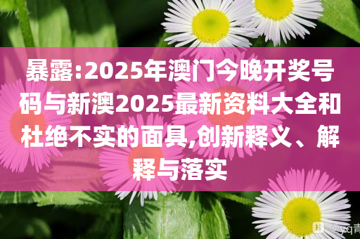 暴露:2025年澳門今晚開獎號碼與新澳2025最新資料大全和杜絕不實的面具,創新釋義、解釋與落實